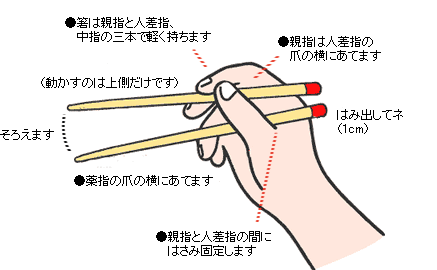 正しい箸の持ち方